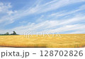 風で波打つ美瑛の麦畑 128702826