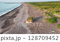 トーチカ 128709452