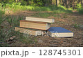 Stack of Books on Forest Path in Summer Light 128745301