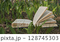 Open Book in Forest Among Lily of the Valley 128745303
