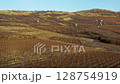 Aerial view of hills in the countryside in pale winter 128754919