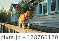 Playful cat balancing on wooden rail with blooming garden background 128760120