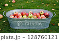 Fresh harvested apples in metal tub on lush green grass transition under falling leaves 128760121