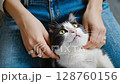 Gentle cat cuddle: human hands stroking content feline with love and care 128760156