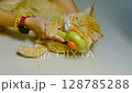 Woman hand grooming cat with orange brush pet care, feline grooming, animal love concept 128785288