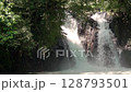 Waterfall in Dense Forest. Slow Motion 128793501