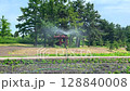 watering, gardening, time lapse 128840008