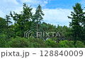 leaves, background, foliage 128840009