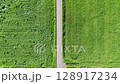 草原の中のどこまでも続くまっすぐな道 128917234
