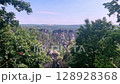 Saxon Switzerland view from above. 128928368