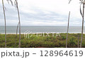 June 2025, Beautiful view of Jinbirei coastline in the northern part of the coast of Japan 128964619