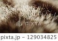 An upclose view of textures found in leopard print fabric, showcasing intricate features plaid rug 129034825