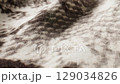 Discover the Elegant Python Print Fabric, perfect for your Fashion and Design Creations 129034826