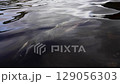 Troupes of salmon underwater 129056303