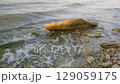 sea surf on flat stone, close-up, slow motion 129059175