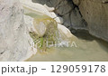 water flows in mountain stream at sunny day, close-up, slow motion 129059178
