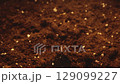 A strange yellow daisy brightly lit by light grows out of the ground. Spring fun footage. Fairy story. Festive background. Positive emotions. Optical illusion 129099227