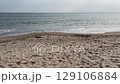 砂浜と波打ち際 129106884
