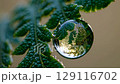 Single dew drop on leaf reflects trees sunlight embodying freshness hope renewal morning growth nature purity awakening focus and close observation 129116702