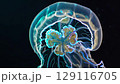 Glowing jellyfish drift in deep dark water radiating beauty mystery fragility peace serenity balance of marine ecosystem and meditative calming inspiration 129116705