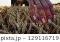 Womans manicured hand caresses golden wheat symbolizing harmony harvest nature connection sustenance femininity growth and the beauty of cycles and renewal 129116719