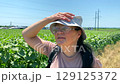 Lady think about environmental protection in sunflower field Slow motion video: green sunflowers, hand of lady hold hat, she thinking about environmental protection. Environmental protection concept 129125372