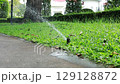 Automatic Sprinkler watering on lawn 129128872