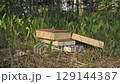 Stack of Books on Forest Floor 129144387