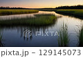 Reflection of the marsh and reeds at dusk 129145073