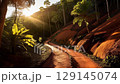 A red dirt road through a tropical forest and the morning sun 129145074