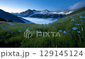Blue alpine plants and mountain ranges at dawn 129145124