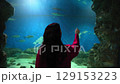 Woman observes fish through aquarium glass, surrounded deep blue water 129153223