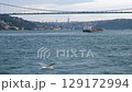 Seascape seagull above Bosphorus, Turkey. Cargo ship under cable-stayed bridge. High quality FullHD footage 129172994