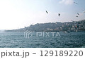 Istanbul city coastal panorama, seagulls circling above. Bosphorus view. High quality FullHD footage 129189220