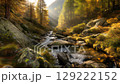 一條小溪在長滿青苔的岩石間流淌，秋天的森林沐浴在透過樹木的陽光中 129222152