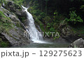 (佐賀県唐津市)新緑に包まれた見帰りの滝 (佐賀県唐津市)新緑に包まれた見帰りの滝 129275623