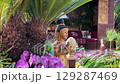 Dec 16 20224 Colorful flower bed blooming in sunny spring garden 129287469
