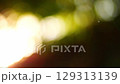 A stock abstract defocus video that produces solar optical flare in different colors and shades. Natural surroundings, harmony in nature, beauty around 129313139