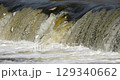 4K - Fish migrate upstream along a river by jumping over a waterfall 129340662