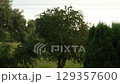 Rainy Countryside View: Lush Green Trees, Field and Sky During Cloudy Weather, Nature Landscape, Atmospheric Rural Scene, Peaceful Day 129357600