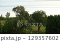 Rainy Landscape with Lush Green Trees and Field at Dusk: A Serene Rural Scene Under Cloudy Skies 129357602