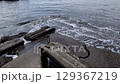 夏日海岸 129367219