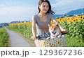 一名日本女子和她的柴犬沿著向日葵田的小路騎自行車 129367236