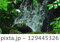Serage 129445326