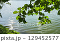 Serene waterside scene with shimmering reflections and lush greenery 129452577