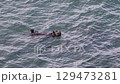 海獺 129473281