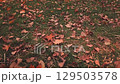 Tilt shift blur, the movement of the camera over a lawn with fallen leaves that the wind rises and carries away 129503578