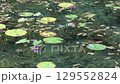 Pond of monet Pond of monet 129552824
