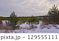 Winter landscape transition,snowcovered pine forest under dramatic sky 129555111