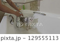 Bathing a funny white cat in a bathtub with gentle hands and soapy water 129555113